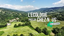L'écologie près de chez nous