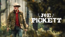 Joe Pickett