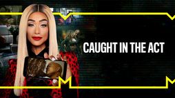 Caught In The Act : Infidélité