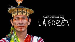 Gardiens de la forêt