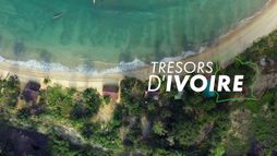 Trésors d'Ivoire