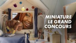 Miniature : le grand concours