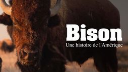 Bison : une histoire de l'Amérique