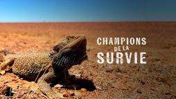Champion de la survie