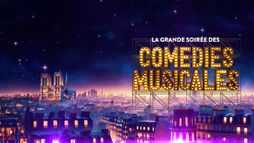La grande soirée des comédies musicales