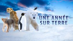 Une année sur Terre