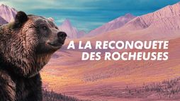 A la reconquête des Rocheuses