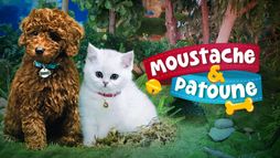 Moustache & Patoune