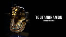 Toutankhamon : Alliés et ennemis