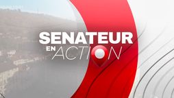 Sénateur en action