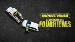 Enlèvement demandé : le quotidien des fourrières