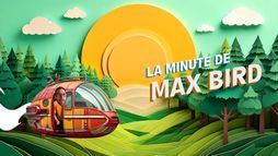 La minute de Max Bird