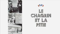 Le chagrin et la pitié