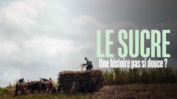 Le sucre, pour la douceur et pour le pire