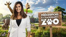 Naissances extraordinaires au zoo