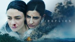 Fireflies