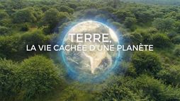 Terre, la vie cachée d'une planète
