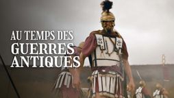 Guerres médiques et guerres puniques