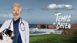 Temps de chien