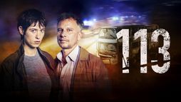 113
