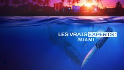 Les vrais experts : Miami