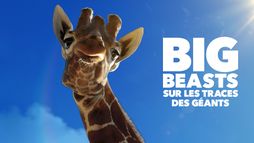 Big Beasts : sur les traces des géants