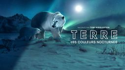 Terre : les couleurs nocturnes
