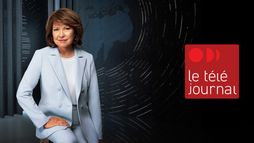 Le téléjournal