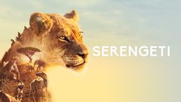 Serengeti, la grande cavalcade des animaux