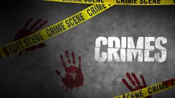 Crimes