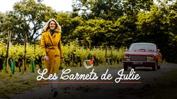 Les carnets de Julie