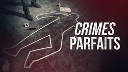 Crimes parfaits