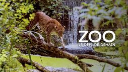 Zoo : le défi de demain
