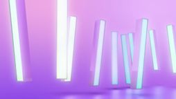 Dans la tête d'un pro