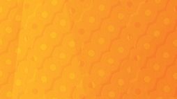 Quand les éléphants se battent