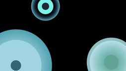 Violences faites aux femmes