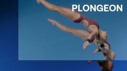 PLONGEON