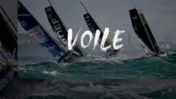 VOILE