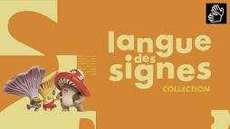 Programmes en langue des signes
