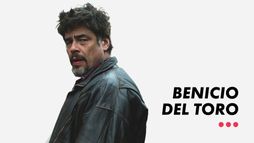 Benicio Del Toro