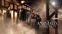 Saga Les Animaux Fantastiques