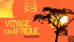 Voyage en Afrique