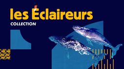 Les éclaireurs