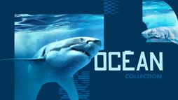 Océans
