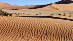 Namibie sauvage