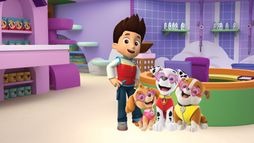 Paw Patrol, la Pat'Patrouille - Saison 1