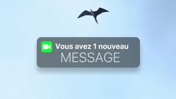 Vous avez un nouveau message