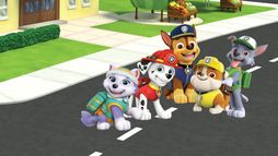 Paw Patrol, la Pat'Patrouille - Saison 3