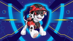Paw Patrol, la Pat'Patrouille - Saison 4