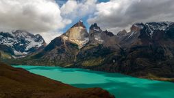 Epic animal migrations in Patagonia